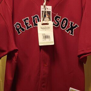David Ortiz Red Sox Jersey